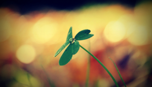 客房预订管理软件有哪些，客房预订系统