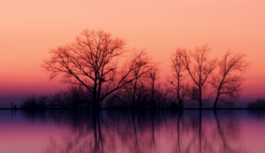 广东春节特色活动有哪些，广东春节有什么活动