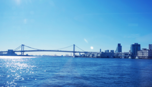 客房预订管理软件有哪些，客房预订系统