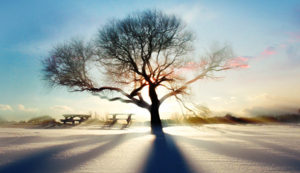 春节特色活动小学生手抄报，春节特色绘画作品