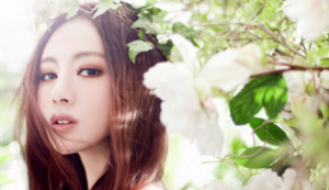 客房预订管理软件有哪些,客房预订系统